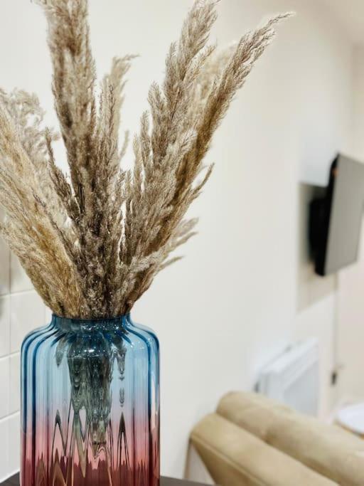 Cosy, Centrally Located Studio With Gated Parking! Loughborough Dış mekan fotoğraf
